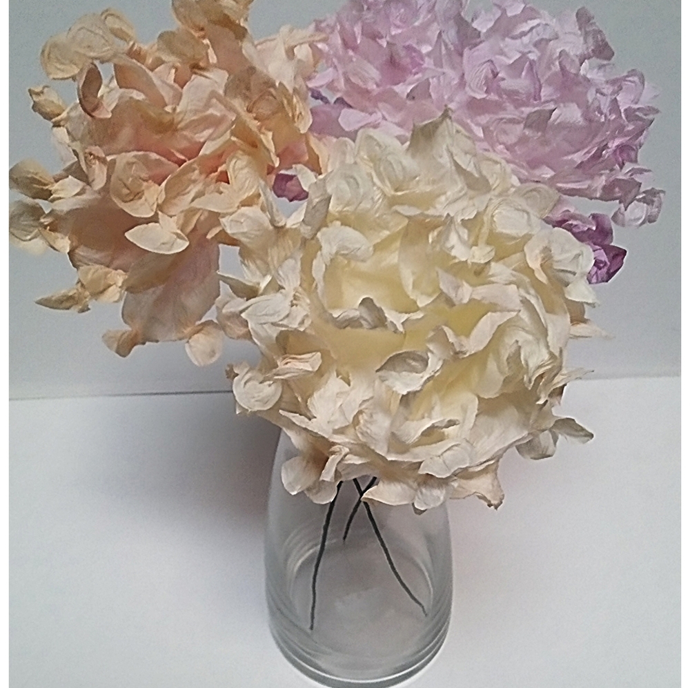 Bouquet hydrangea